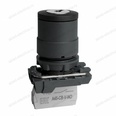 Переключатель OptiSignal D22 C5-SK-21 с ключем 2 поз пластик 1НО XB5AG21