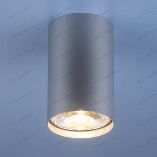 Накладной точечный светильник 6877 SL серебро Nowodvorski