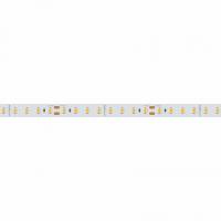 Светодиодная лента RTW-5000SC 24V Warm SP3000-Fruit 10mm (2835, 112 LED/m, SHOP) (Arlight, Открытый)