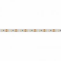 Светодиодная лента RT 2-5000 12V White6000 2x (3528, 600 LED, LUX) (Arlight, 9.6 Вт/м, IP20)