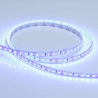 Светодиодная лента RT 2-5000 12V Blue 2x (3528, 600 LED, LUX) (Arlight, 9.6 Вт/м, IP20)