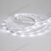 Светодиодная лента RT 2-5000 24V White6000 0.5x (3528, 150 LED, LUX) (Arlight, 2.9 Вт/м, IP20)