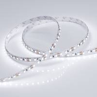 Светодиодная лента RT 2-5000 12V White6000 2x (3528, 600 LED, LUX) (Arlight, 9.6 Вт/м, IP20)