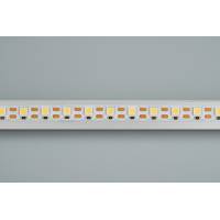 Светодиодная лента RT 2-5000 12V Cx1 White6000 2x (5060, 360 LED, LUX) (Arlight, 15.6 Вт/м, IP20)